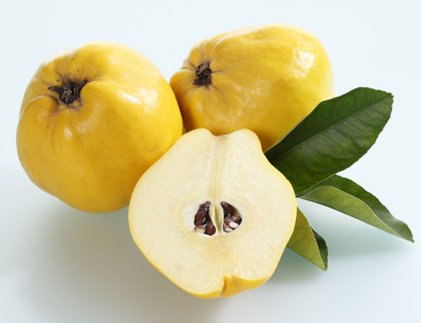 Membrillo 